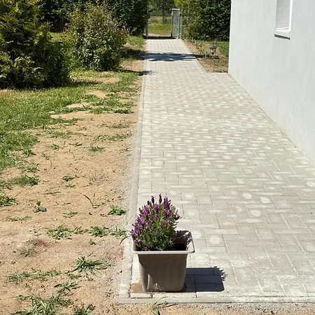 Feldblick * Greifswald