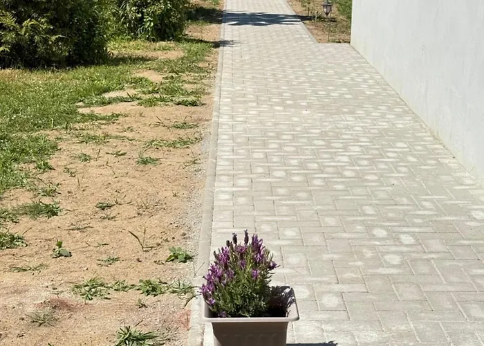 Feldblick * Greifswald